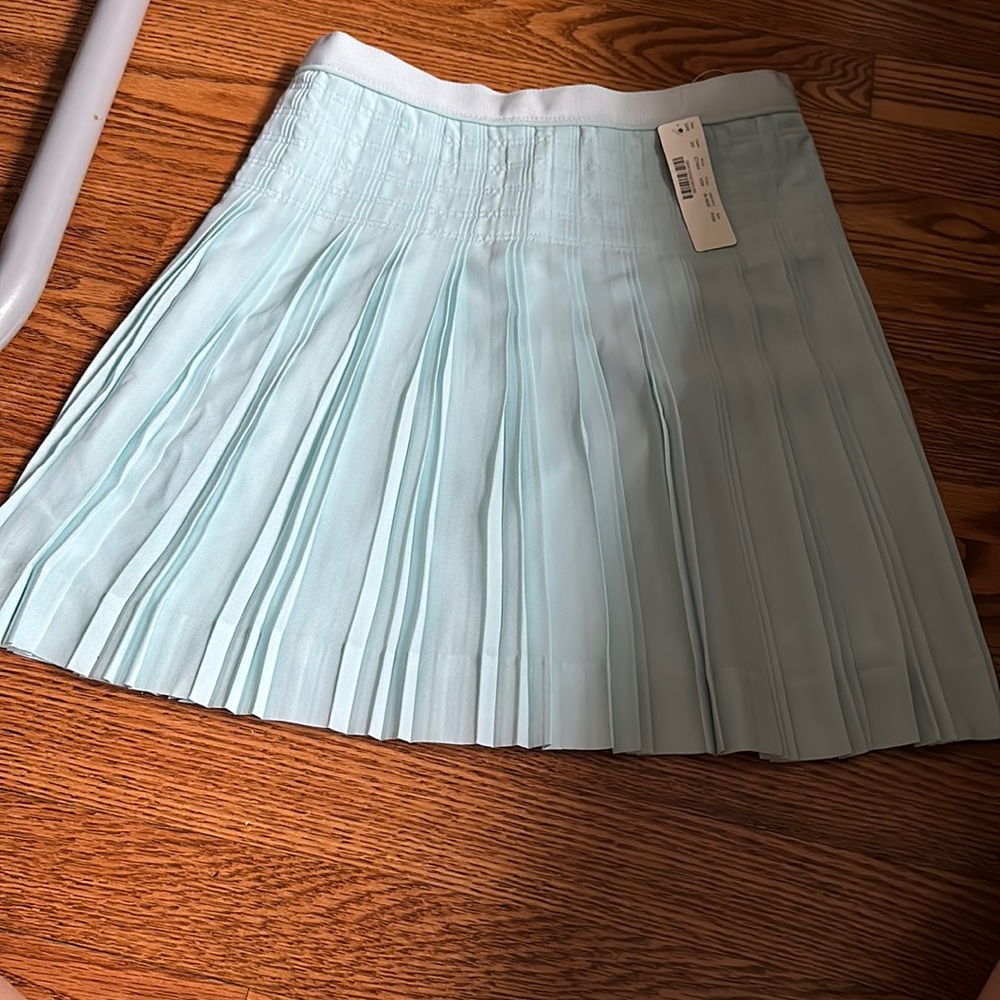 Brand new J Crew skirt